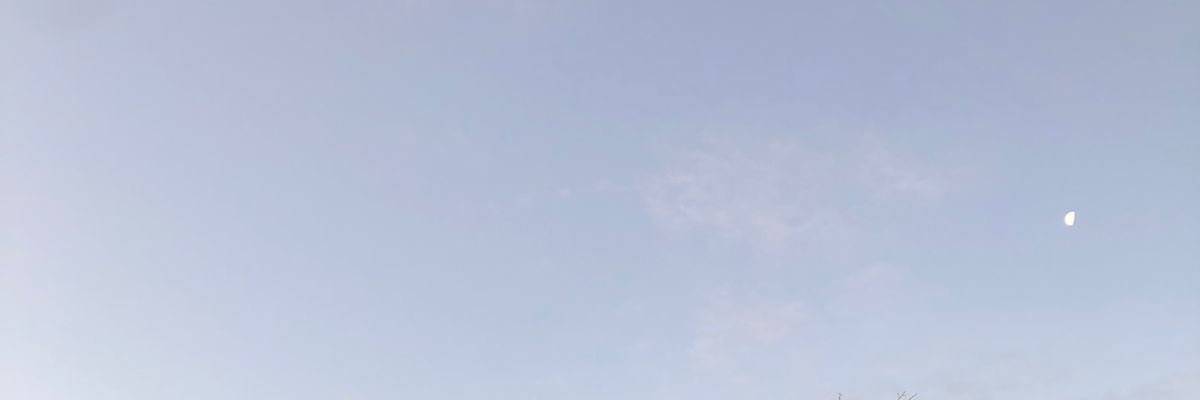 CamiBarile's profile banner image
