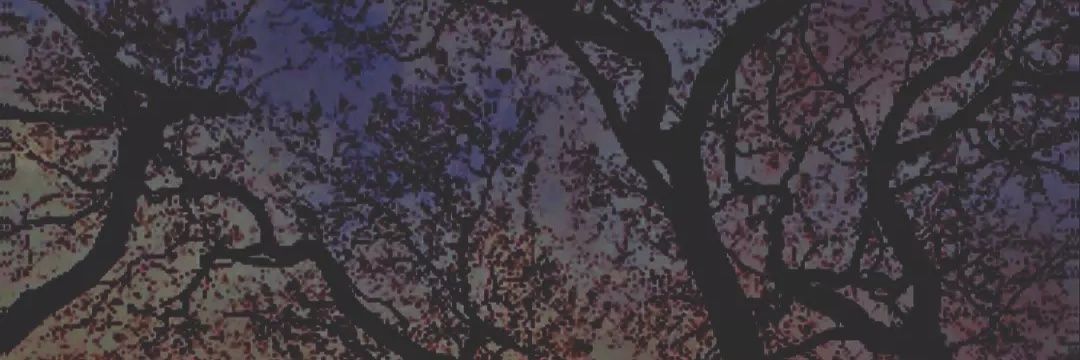 ZafiroRollrcstr's profile banner image