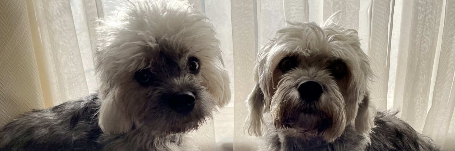 Angela 🇨🇦 banner