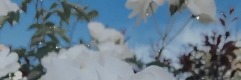 AriTierr's profile banner image