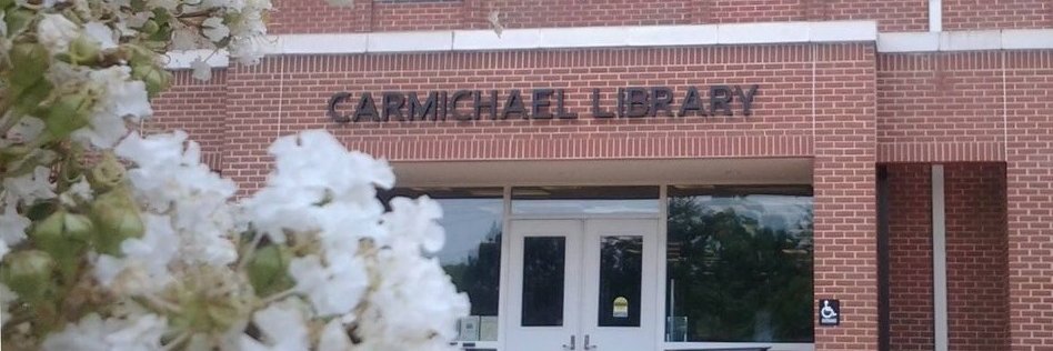 umlibrary's profile banner image