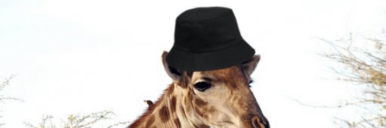 BreezyPierce's profile banner image