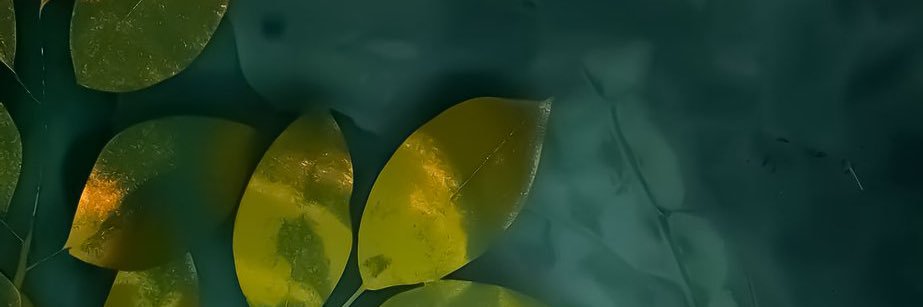 TopTony84's profile banner image