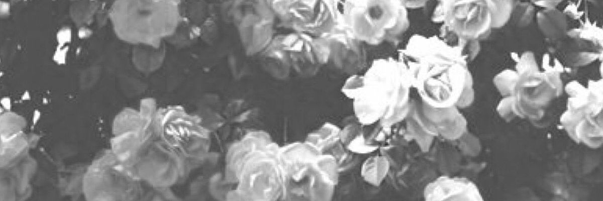 firstakamandika's profile banner image