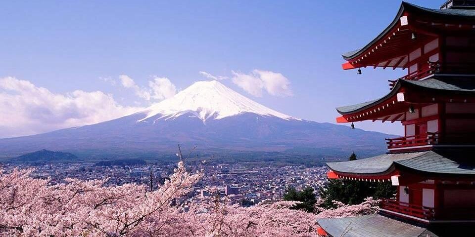shintaulia's profile banner image
