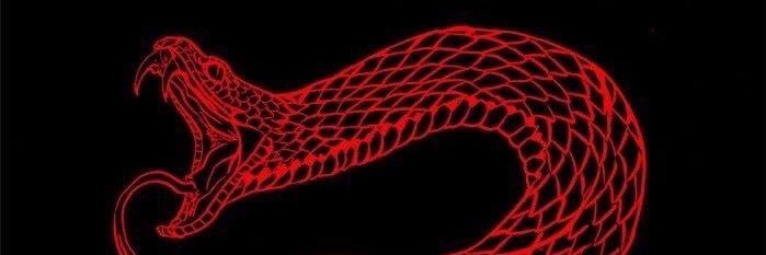 5elinaaa's profile banner image