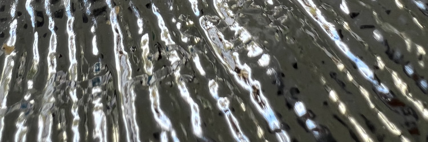 pettyblooded's profile banner image