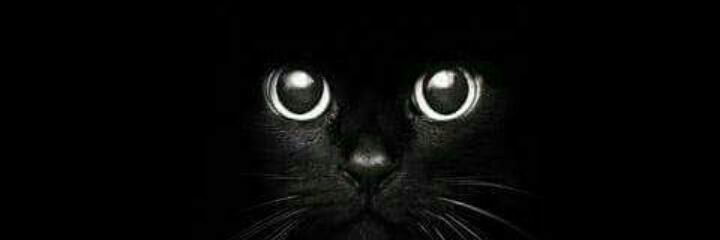 eribe_16's profile banner image