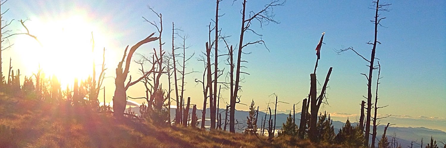 arielsanchezrd's profile banner image