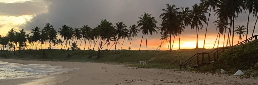 natiavaloss's profile banner image