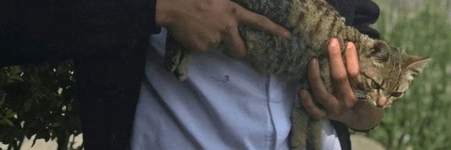 kenzk24's profile banner image