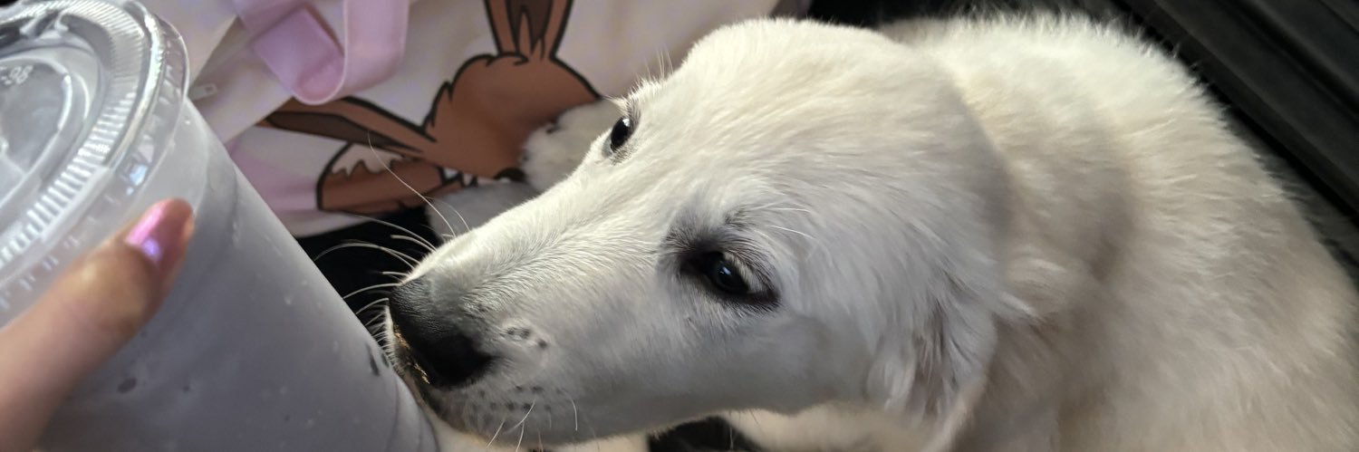 chlobaebi's profile banner image