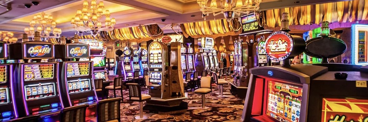 Crypto Crowe 🎲 banner