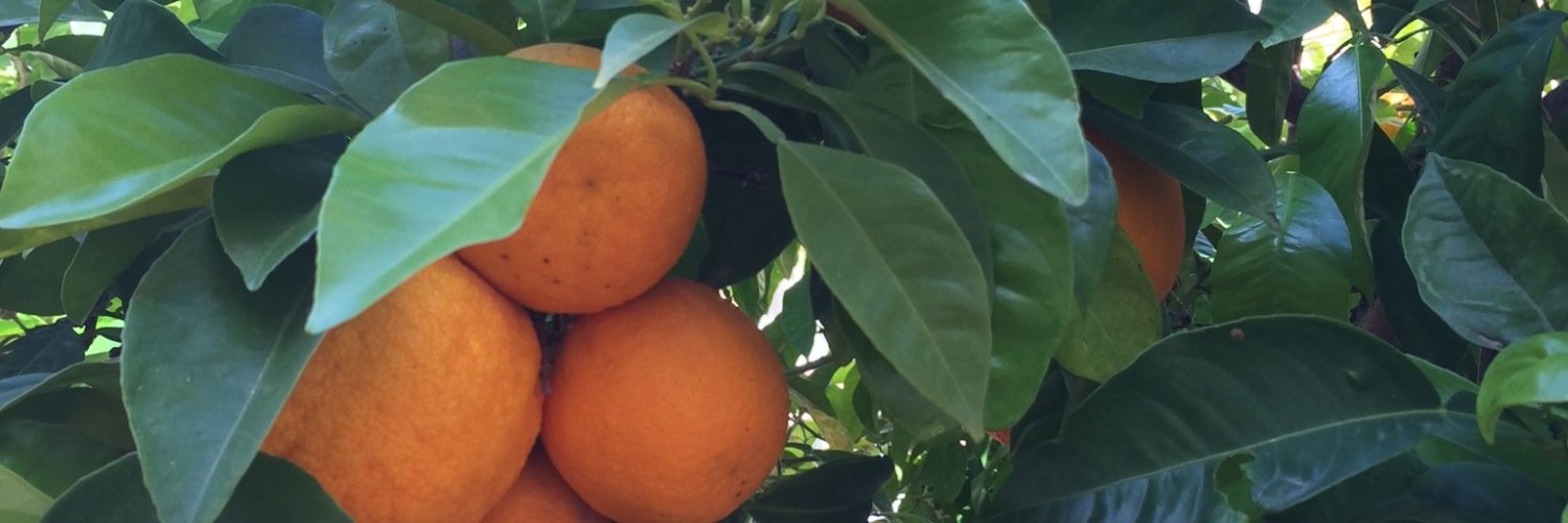 Equity and Health banner