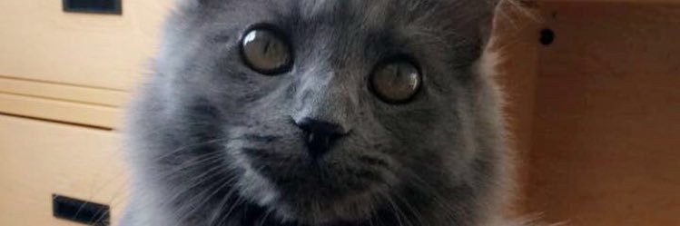 Poncey98's profile banner image