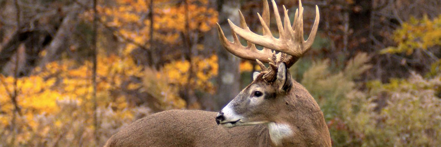 deerhuntprobs's profile banner image