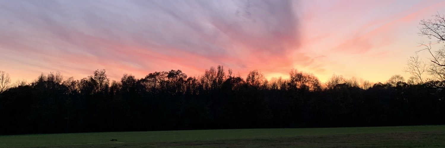 sierra_boyd's profile banner image
