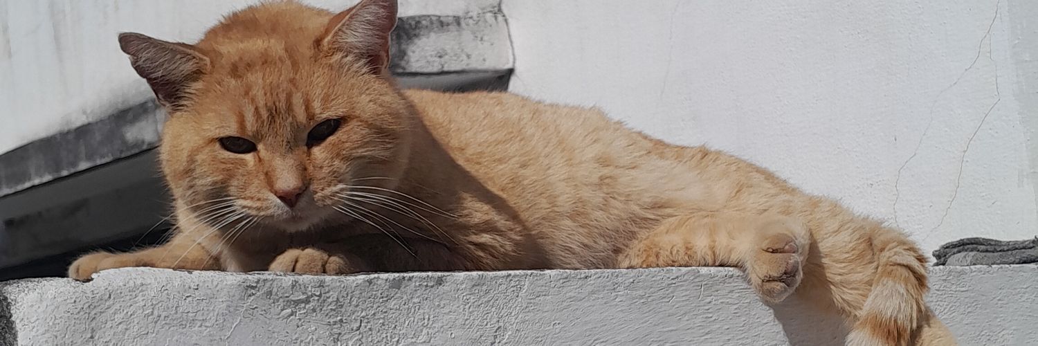 Ramiro . banner