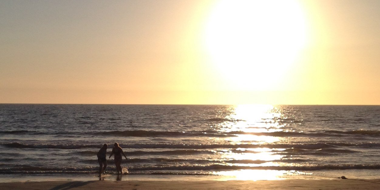 maddiefeltman's profile banner image