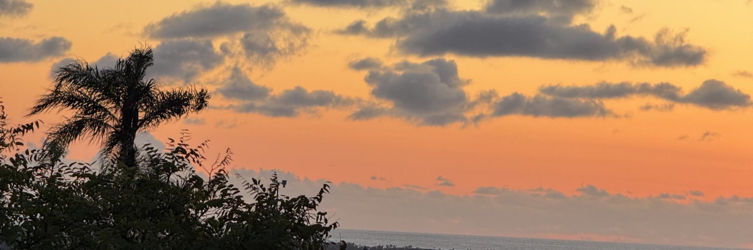 JoaBjerg's profile banner image