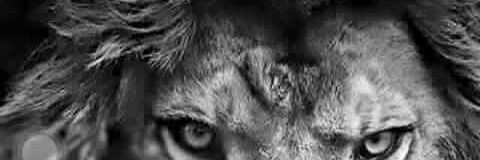 JamesDWilliams5's profile banner image