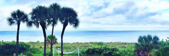 Steve Mirizzi banner