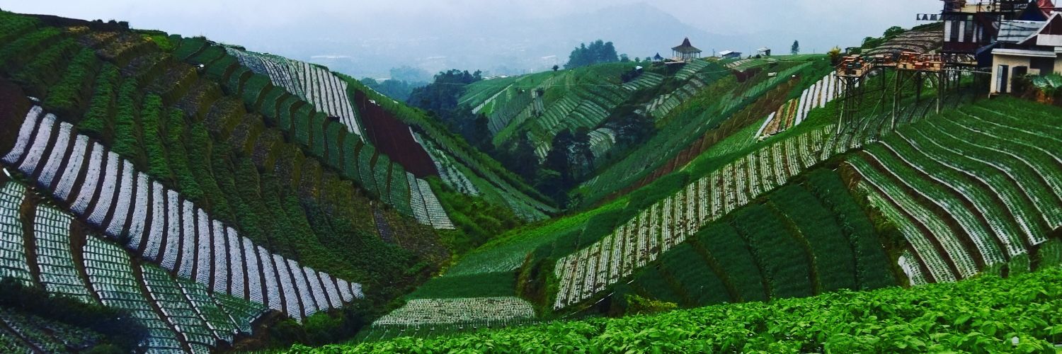Febriyanto_26's profile banner image