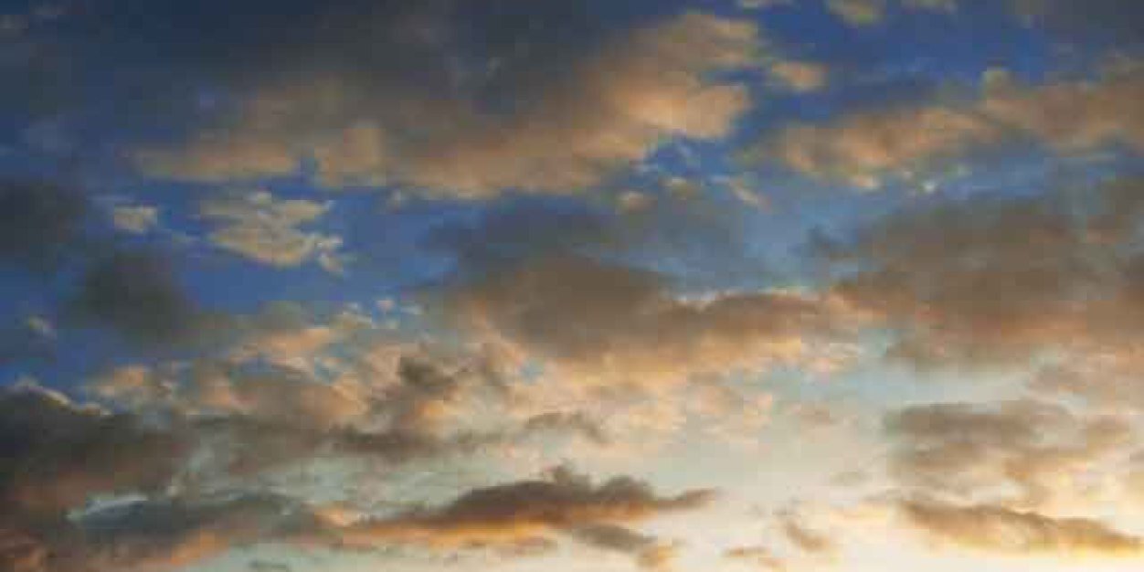 Hilary Pohlman banner