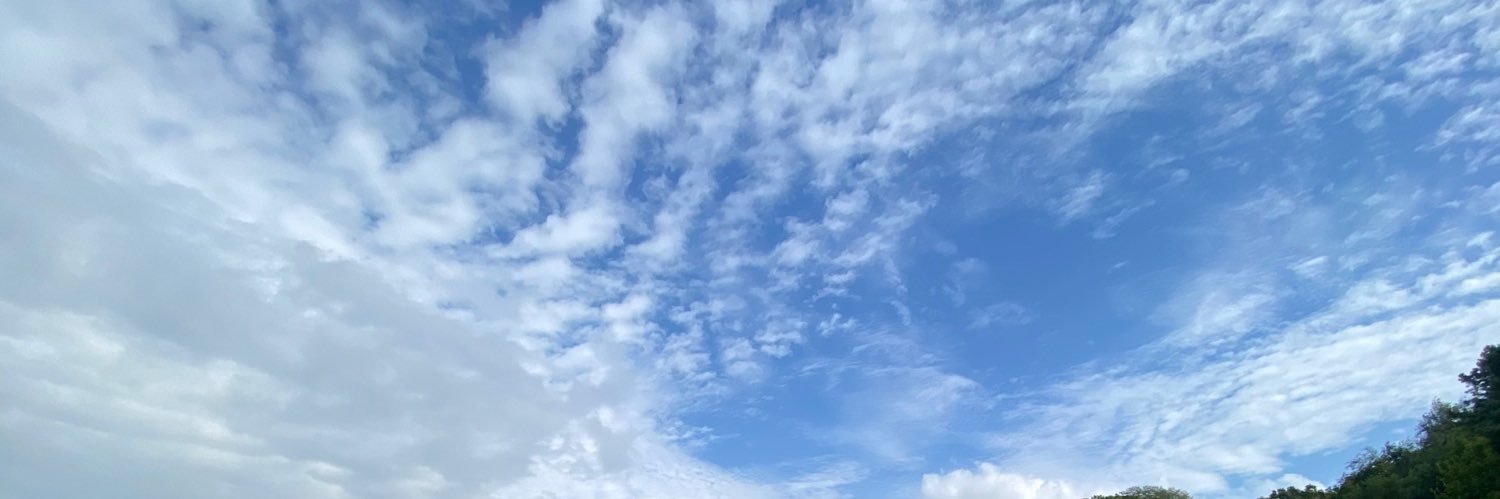 Oeg77's profile banner image