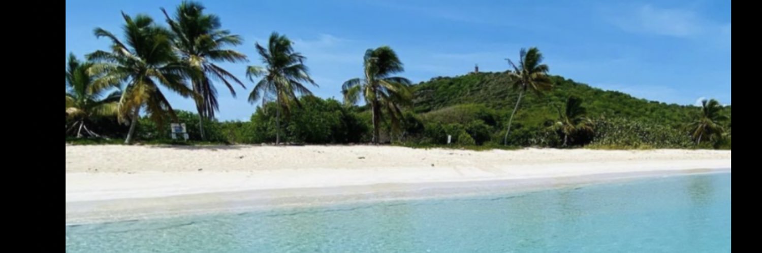 PR🇵🇷🇺🇸Puertorriqueños 🇵🇷 banner