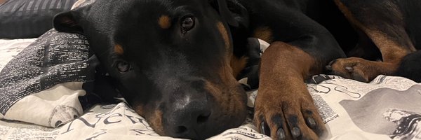 juanceron7 Profile Banner