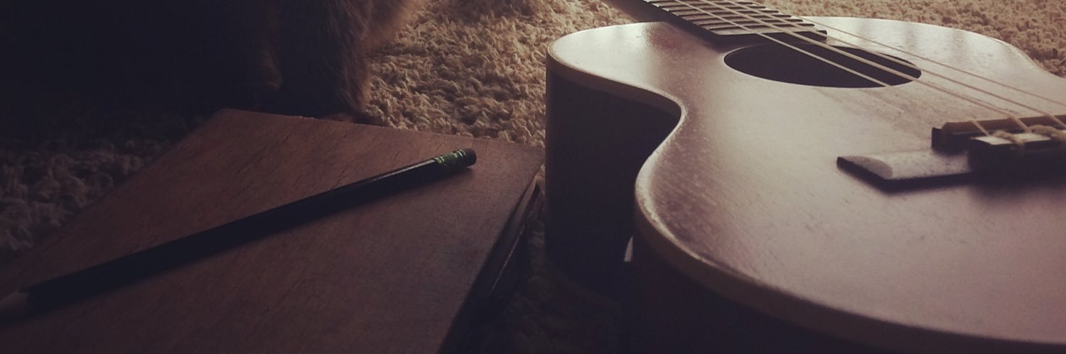 zeldoodle's profile banner image
