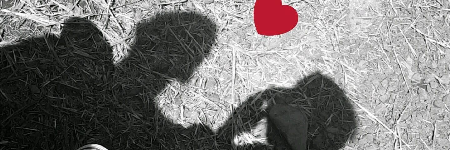 DamonThomas19's profile banner image