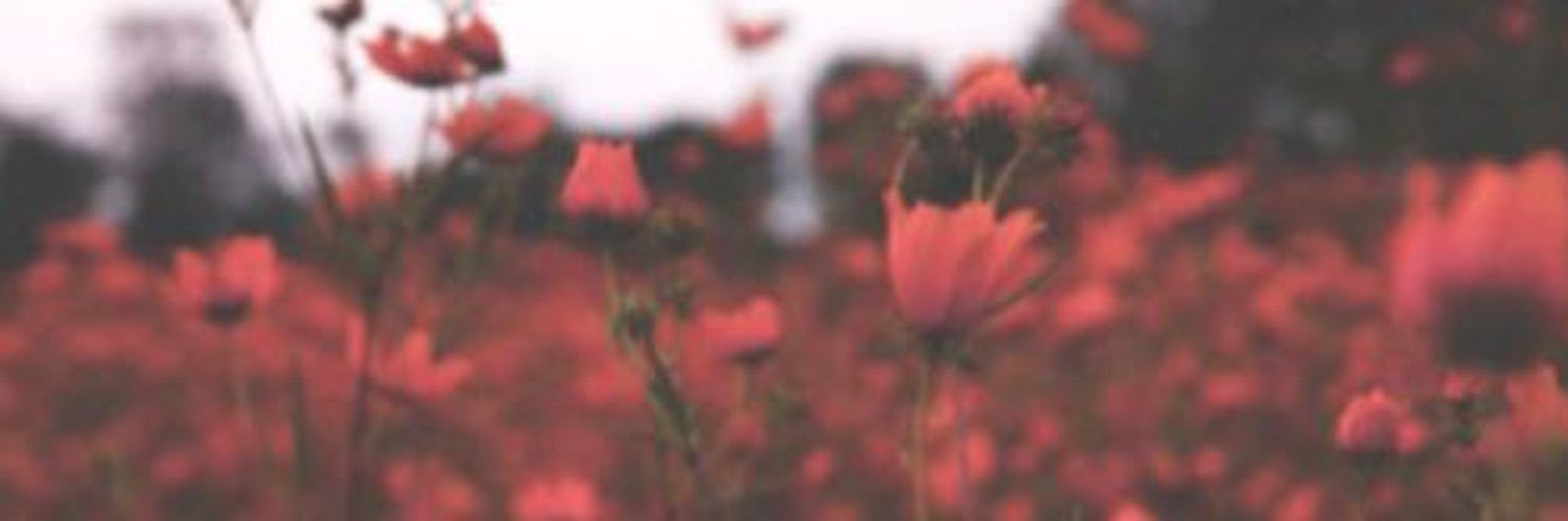 _betiate's profile banner image
