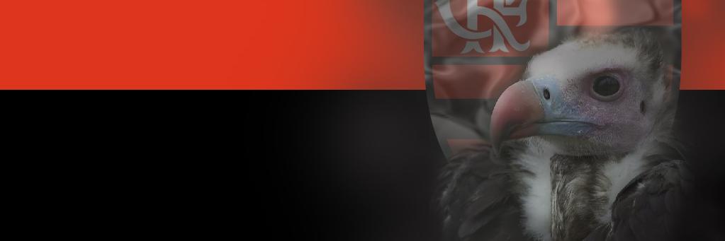 radeckjr's profile banner image