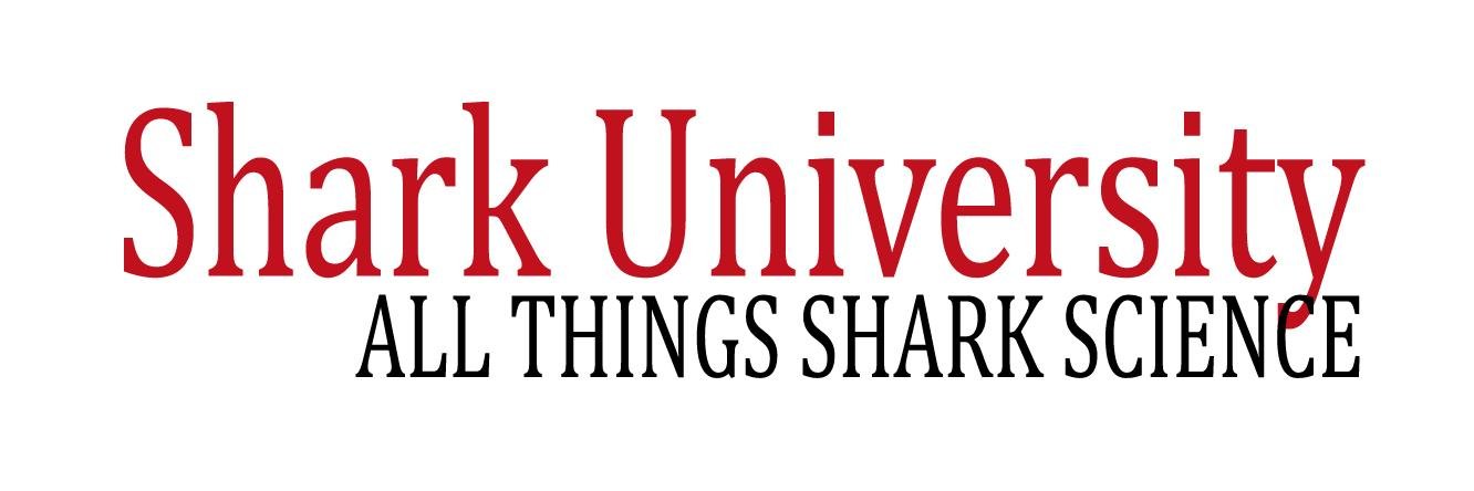 SharkUniversity's profile banner image