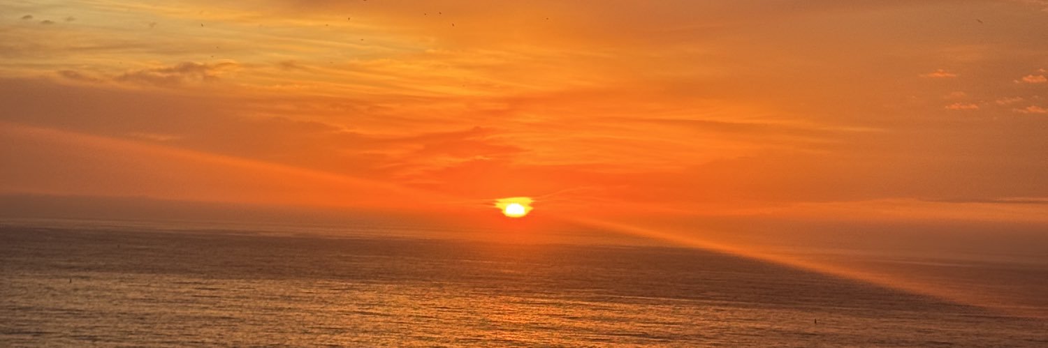 Vepessanha's profile banner image