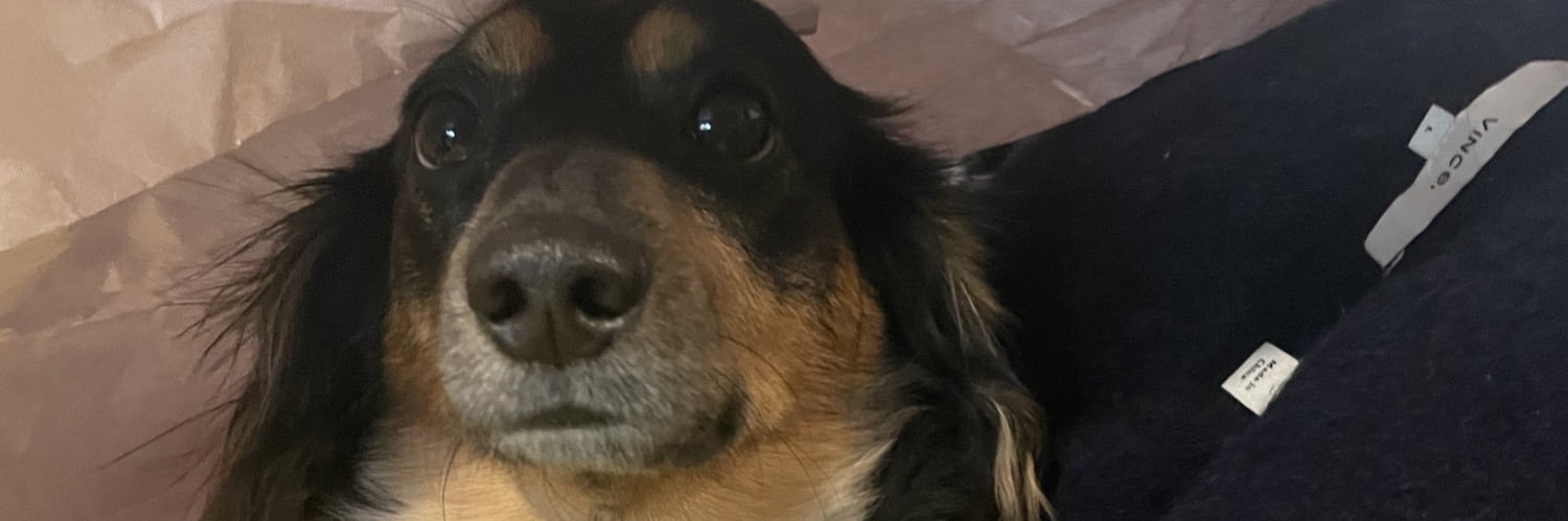 Miss_Burgerwolf's profile banner image