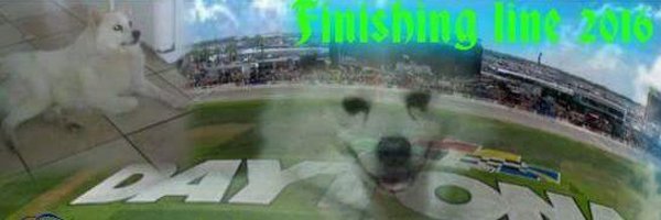 DaleJr288 Profile Banner