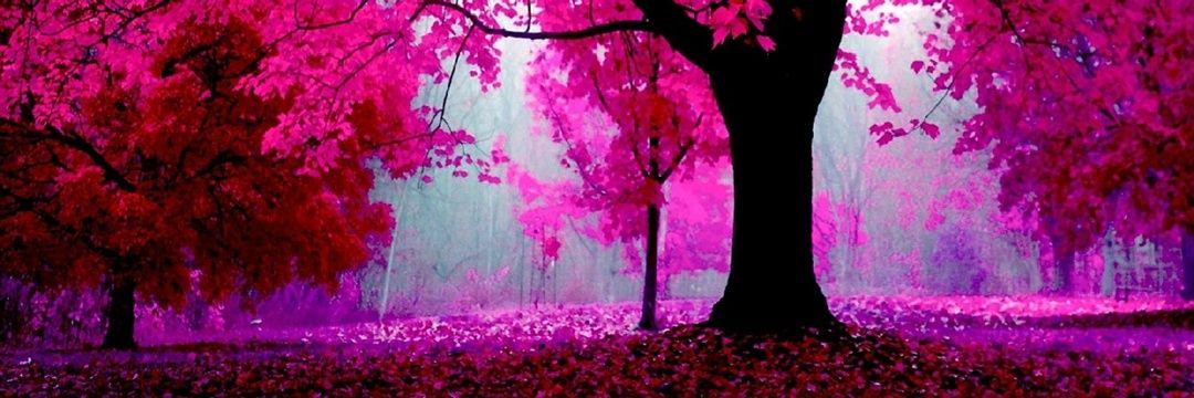 CruzMariana_'s profile banner image