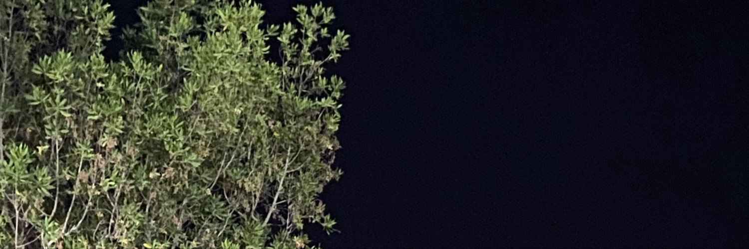 HarlyQ8's profile banner image