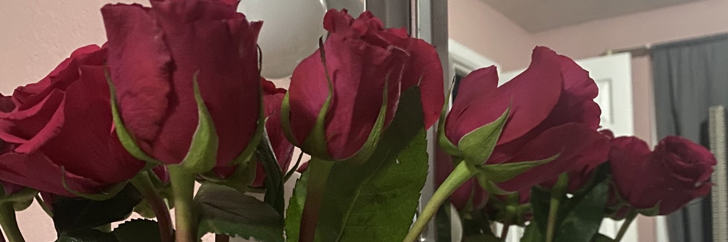 aarianaaa69's profile banner image