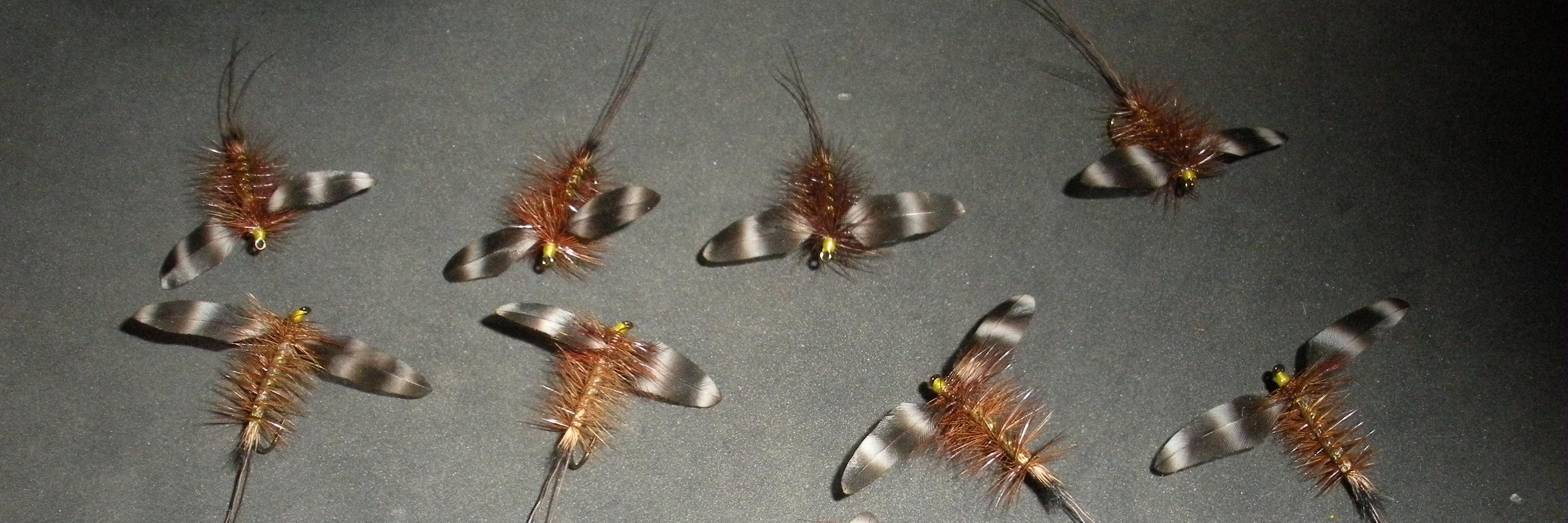 MichiganFlyTyer's profile banner image
