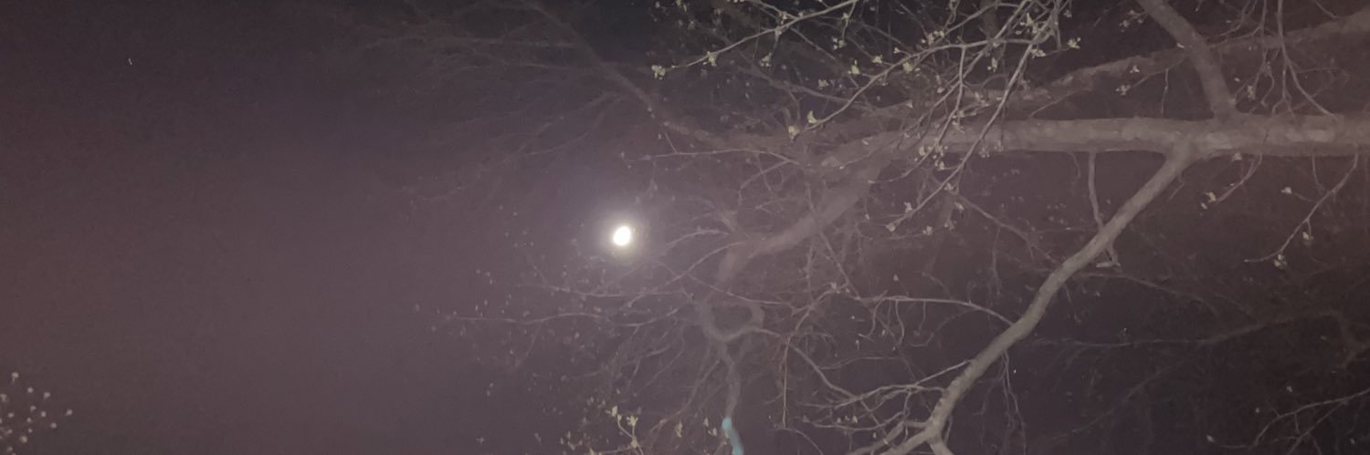 MorganTraud's profile banner image
