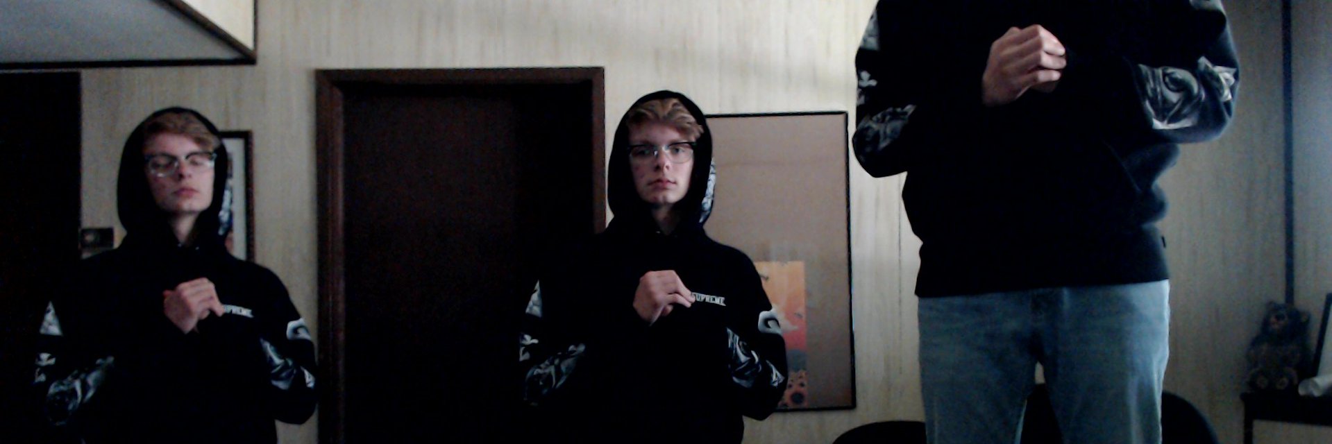 Vivill0n's profile banner image