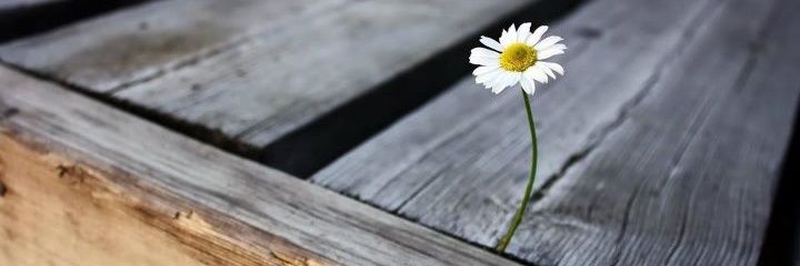Samet_319's profile banner image