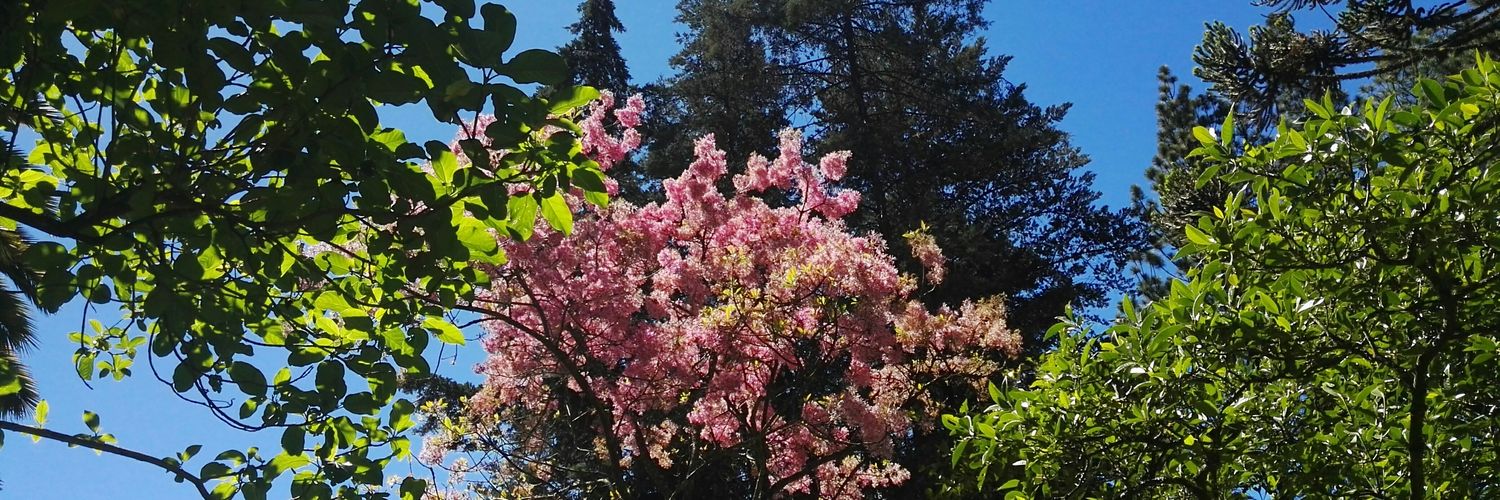 ___made's profile banner image