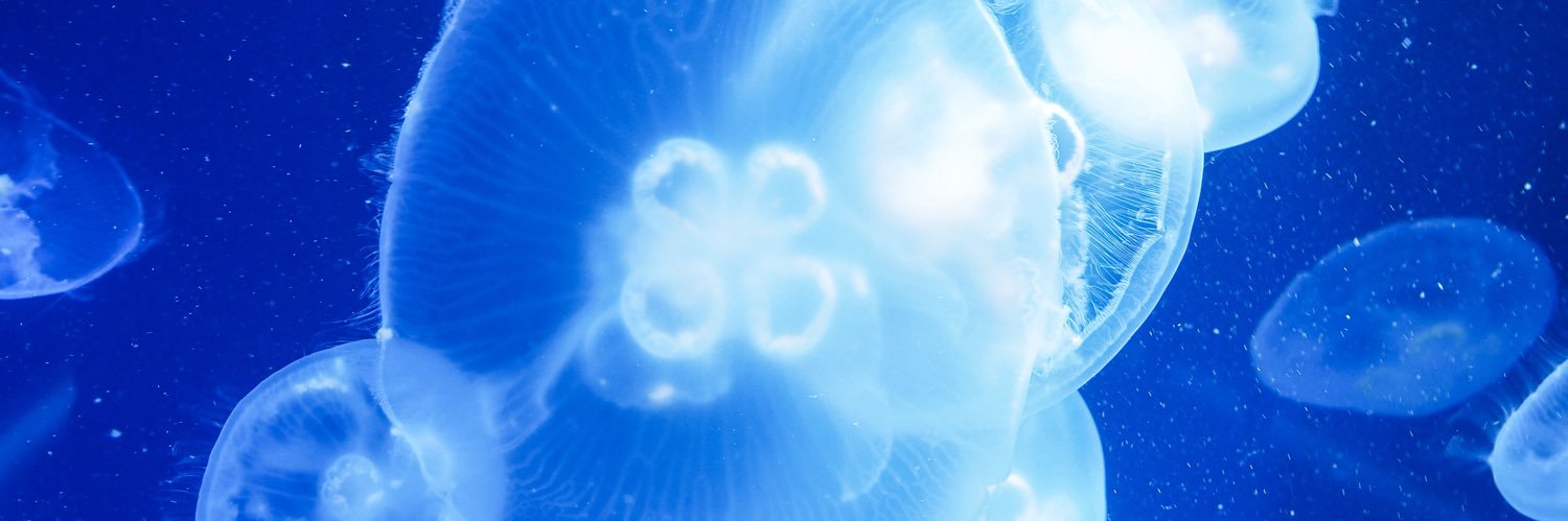 a__ly's profile banner image