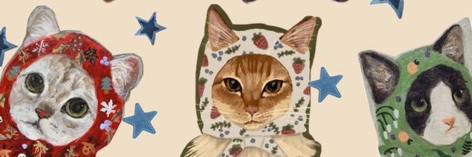 cassidy banner