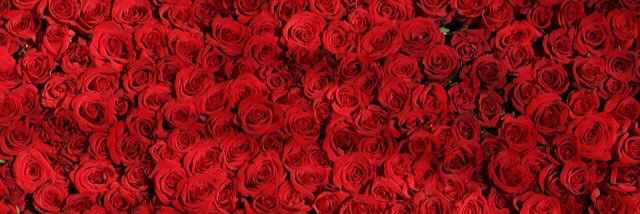 BriarsRed's profile banner image